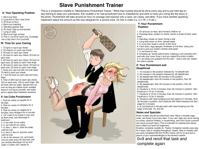 Slave Punishment Trainer