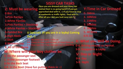 Sissy driving task