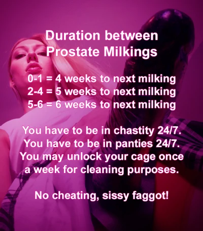 Prostate Milking Duration