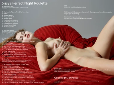 Sissy's Perfect Night Roulette