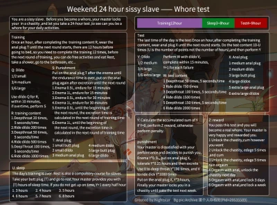 Weekend 24 hour sissy slave - prostitute test