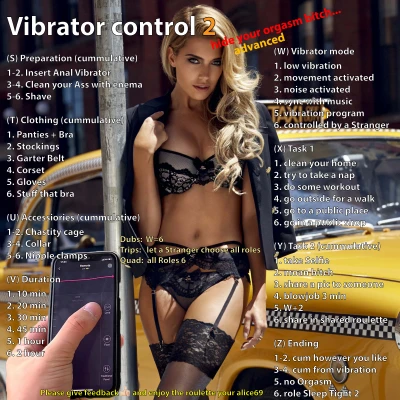 public vibrator lovense 2