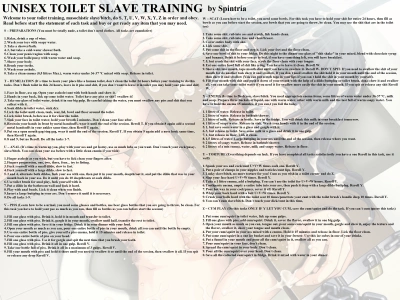 Toilet Slave Training