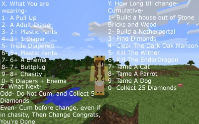 Minecraft Diaper Fun