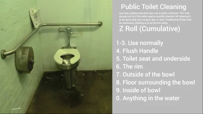 Public Toilet Cleaning