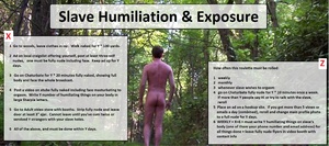 Slave Humiliation & Exposure