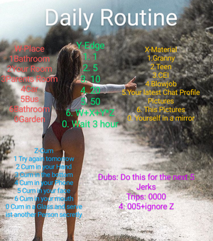 daily routine