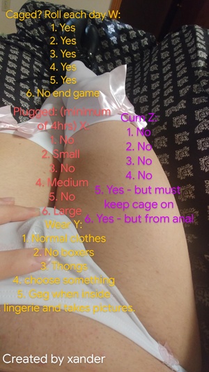 Chastity roulette