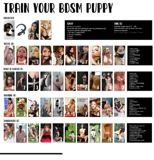 Train your puppy