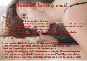 Humiliate his tiny cock! — SPH