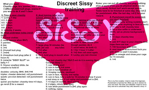 Discreet Sissy training