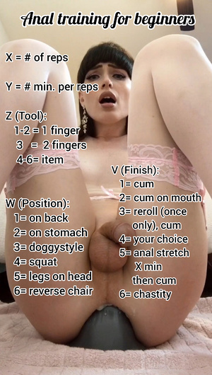 Anal training for beginners 