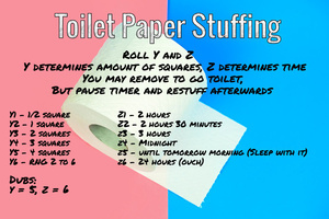 Toilet Paper Stuffing