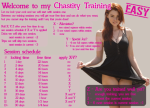 Chastity Training Game Easy Denial Session Schedule