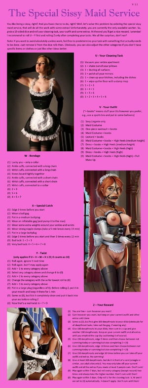 Special Sissy Maid Service