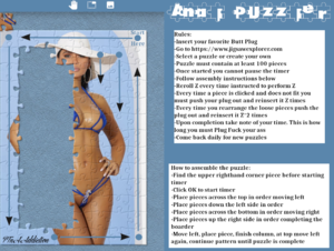 Anal Puzzler