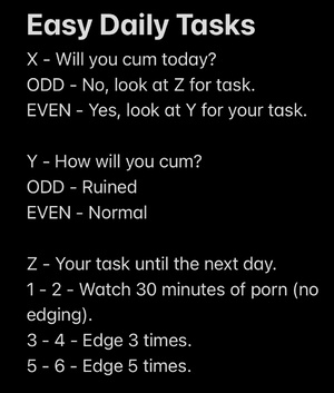 Easy Daily Task