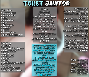 Toilet Janitor v1