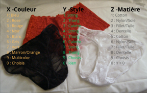 Panties Color for the day / Couleur Culotte pour la journée